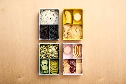 Miniatura 3 de 3 Sprouts Caja Bento de silicona - Contenedor de almuerzo a prueba de fugas - Llama