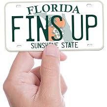Florida Bumper Stickers for Car - Waterproof Vinyl FL Decals for Hydroflask, 10+ Cities Fins Up