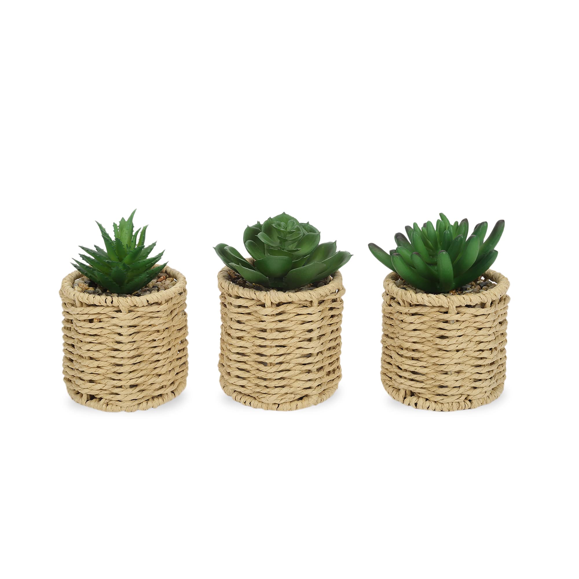 See full amazon price history chart for Anko Set of 3 Artificial Succulent Plants with Rattan Look Pots | Decorative Artificial Plant for Home, Office, Bedroom, Balcony, Living Room, Table Top | Natural Look Artificial Plant for Home Décor Anko Set of 3 Artificial Succulent Plants with Rattan Look Pots | Decorative Artificial Plant for Home, Office, Bedroom, Balcony, Living Room, Table Top | Natural Look Artificial Plant for Home Décor (B0C5DX64W2) Amazon Price History, Amazon Price Tracker