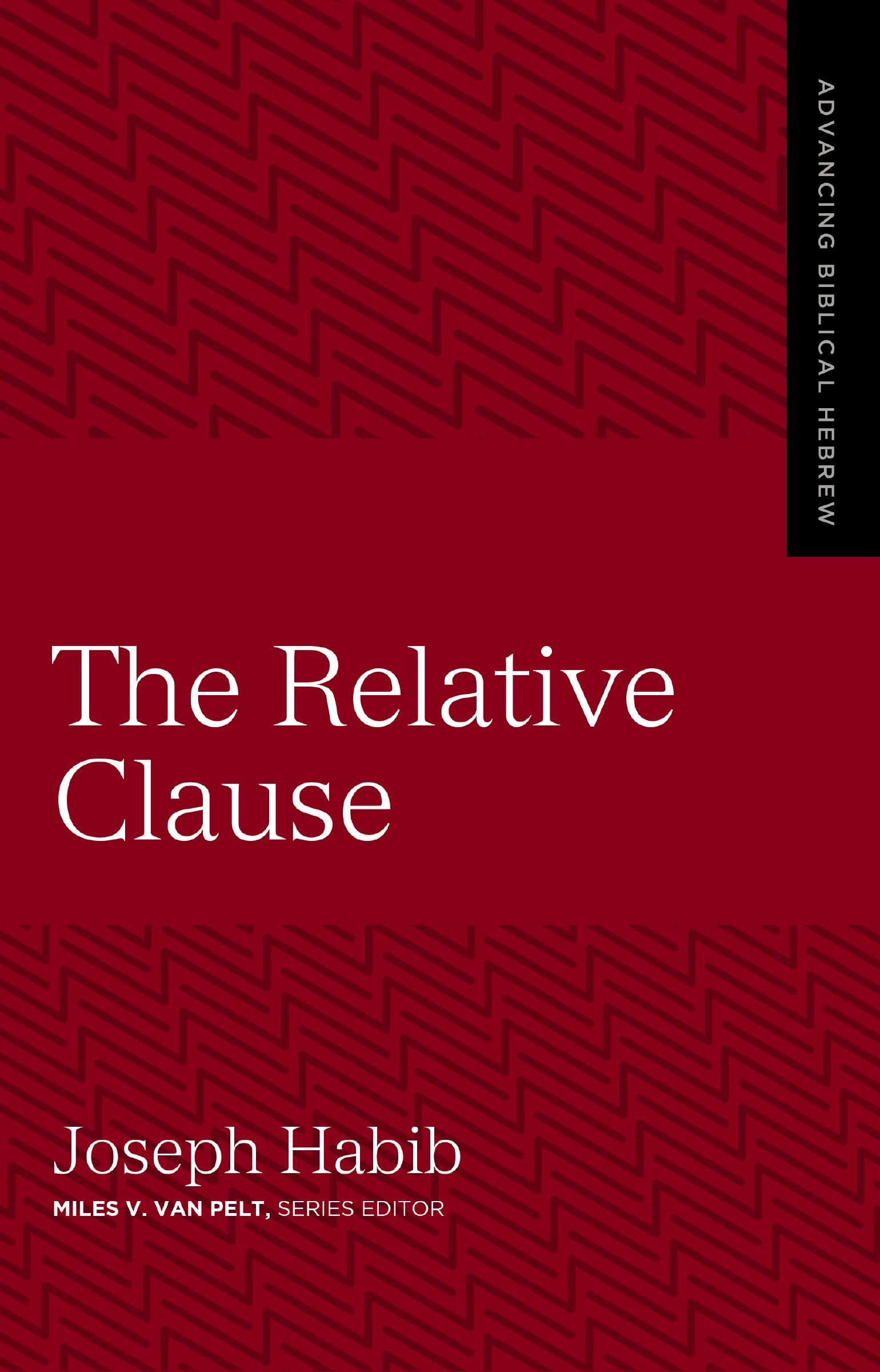 The Relative Clause (3) (Advancing Biblical Hebrew)