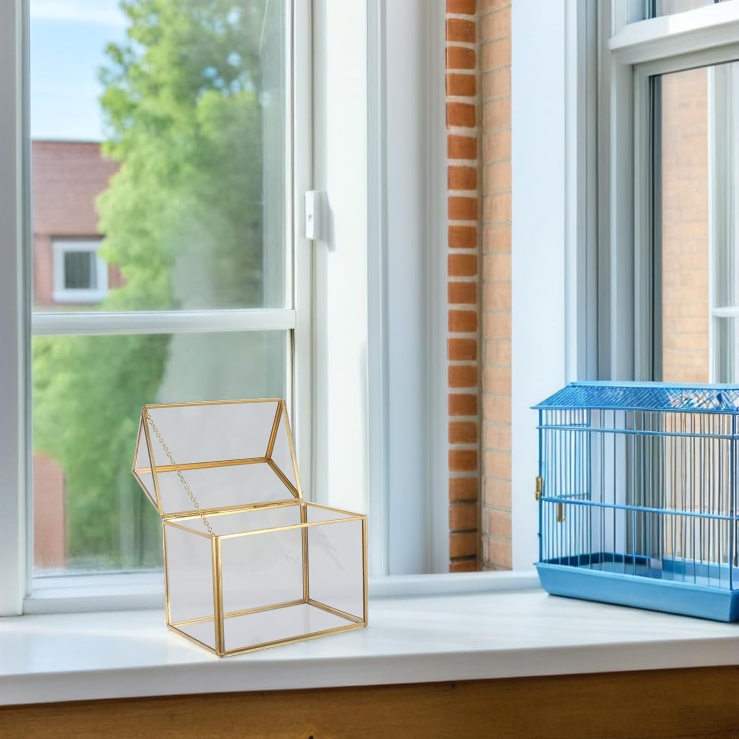 VALICLUD Unique House Shaped Indoor Greenhouse for Succulent Display Sturdy Tabletop Decor for Home for Birthdays and Anniversaries Showcases Microlandscape Details