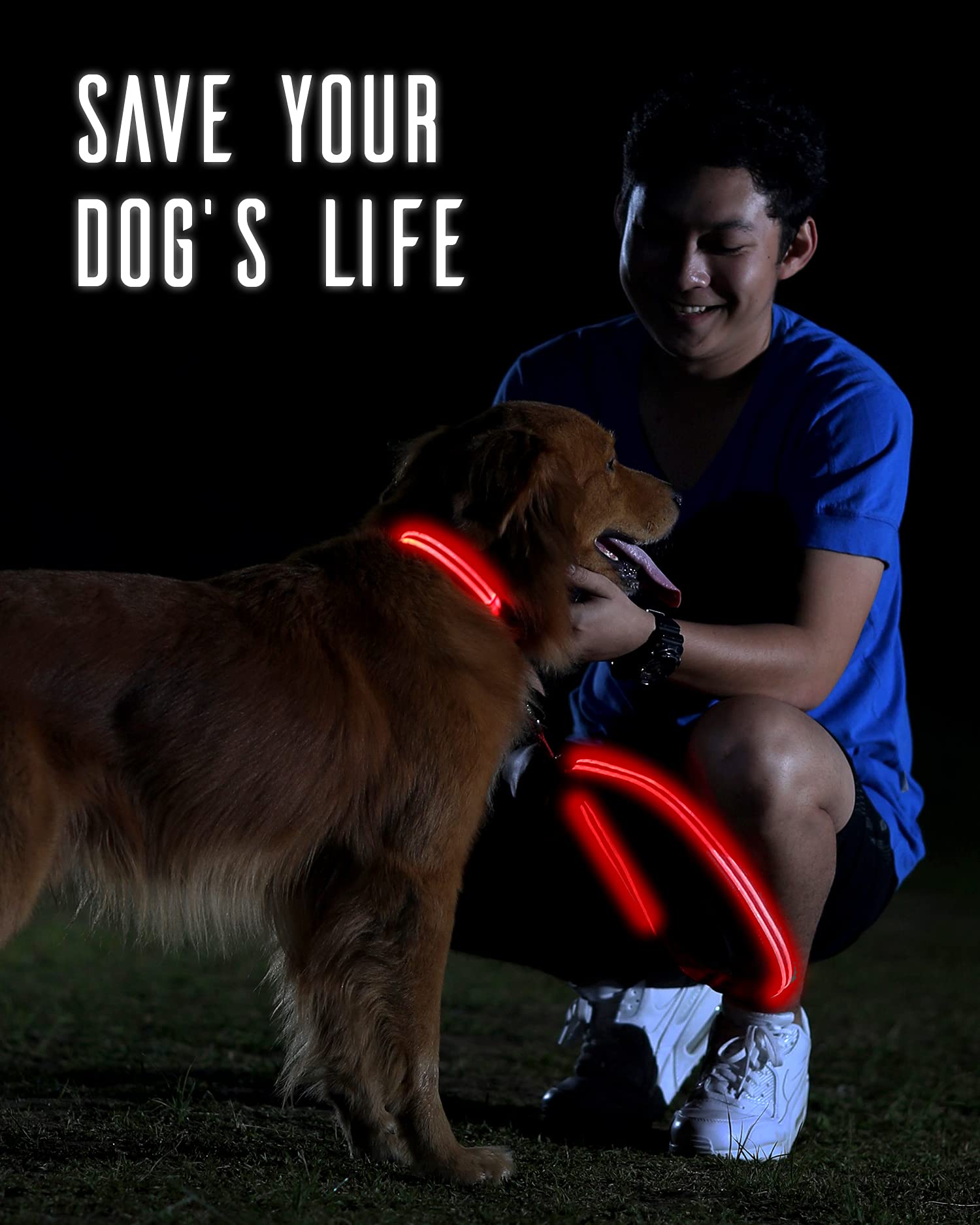 ILLUMISEEN LED Dog Collar USB Rechargeable Bright & High Visibility
