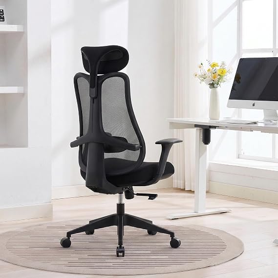 Nouhaus Fluido Ergonomic Office Chair with Adjustable Lumbar Support