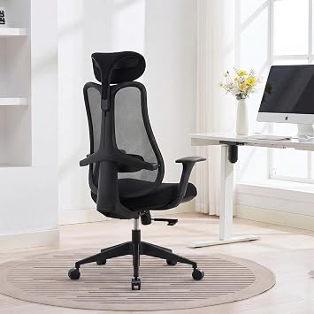 Nouhaus Fluido Ergonomic Office Chair with Adjustable Lumbar Support