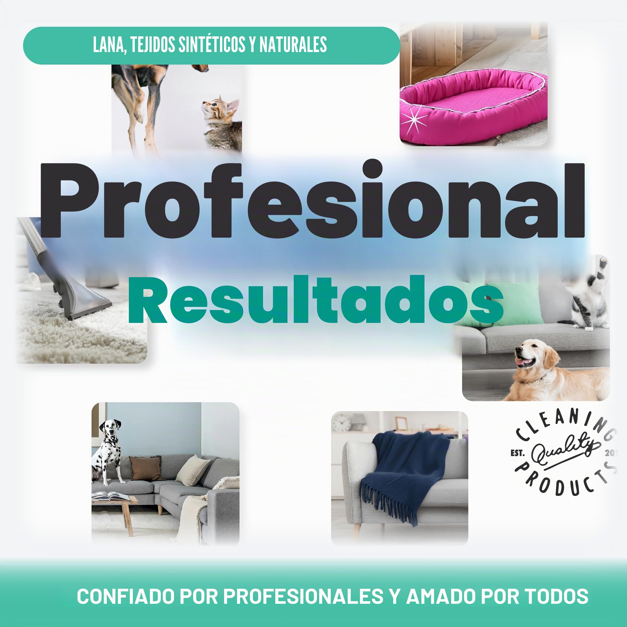 Dirtbusters - Clean & Protect - 4 en 1 Limpiador, removedor de manchas, neutralizador de olores y protector. Aroma cítrico. 5 litros