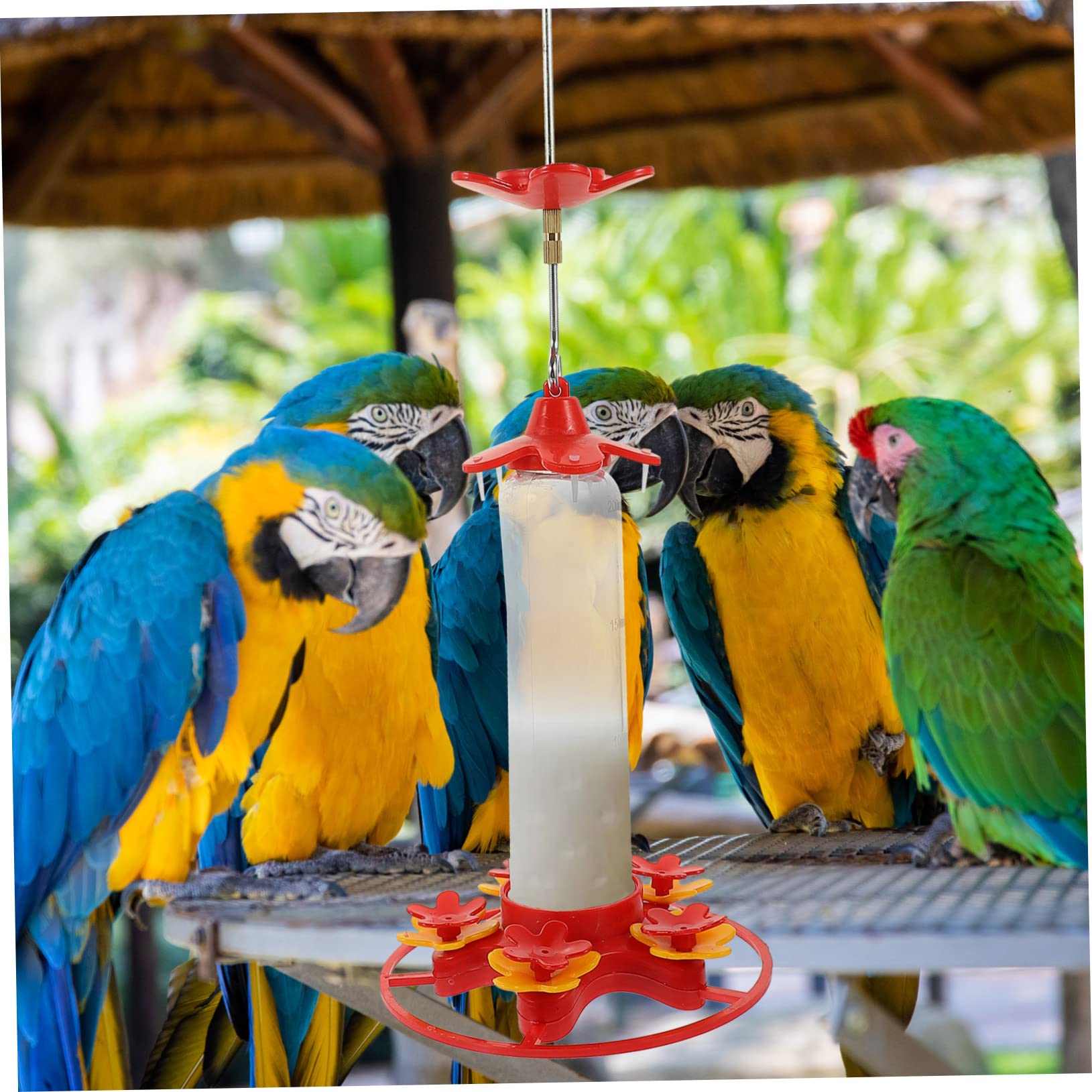 POPETPOP 2 Piezas Comedero Colgante para Pájaros Bebedero Colibrí Decoración De Patio Botella De Agua De Pájaro Comedero para Colibríes Al Aire El Pájaro Planchar Comida De Pajaro