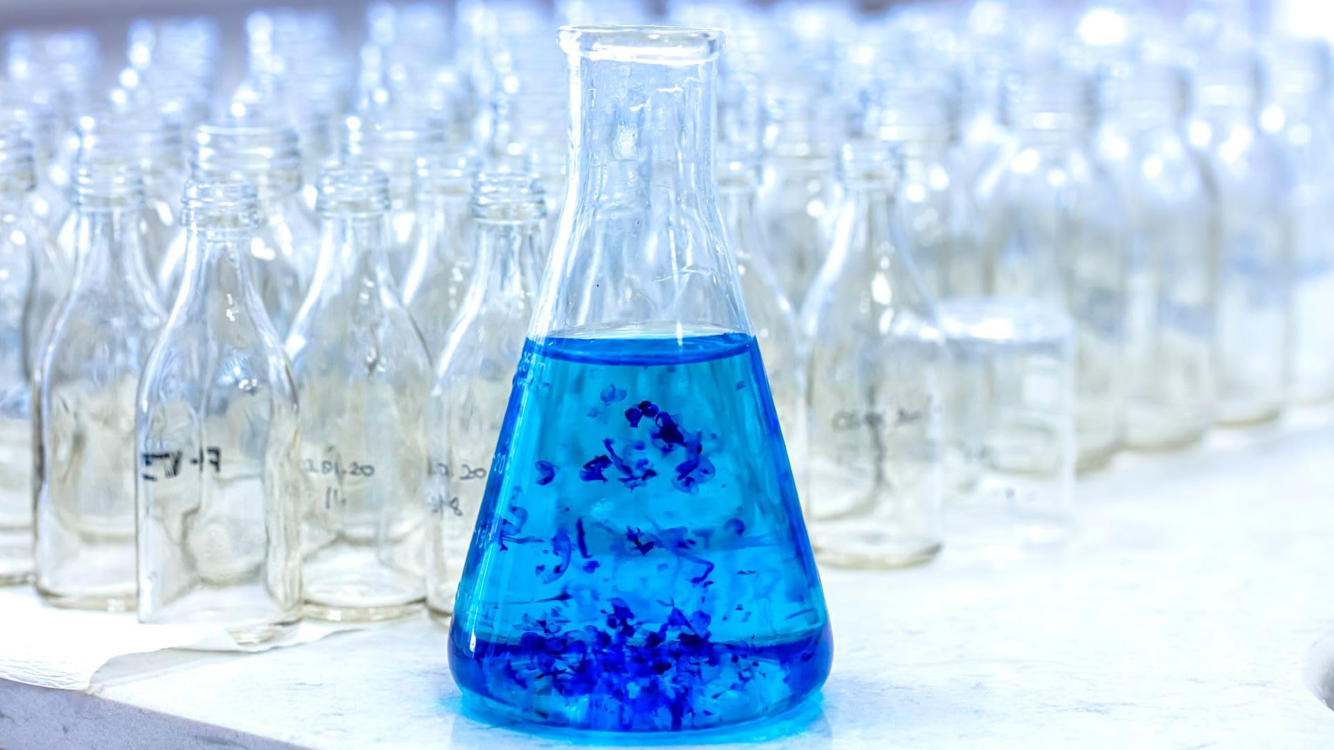 Bleu De Méthylène Vitalia 1% - Antiseptique Et Désinfectant, 4 Flacons De 25g (100g Total)