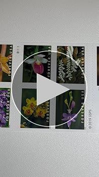 Amazon.com: Wild Orchids Flowers (Booklet of 20) First-Class