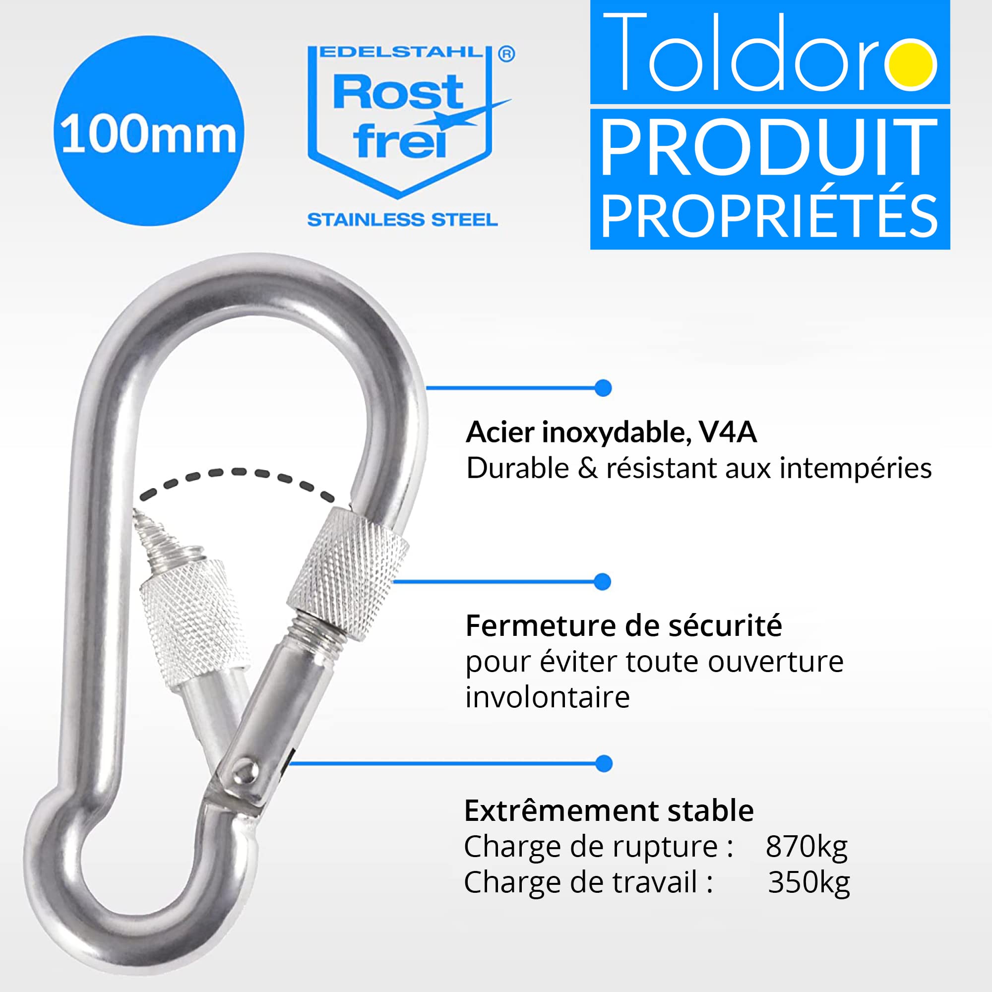 Toldoro Mousqueton en acier inoxydable avec fermeture de sécurité, mousqueton de 100 mm, mousqueton de fixation, mousqueton en acier inoxydable avec fermeture