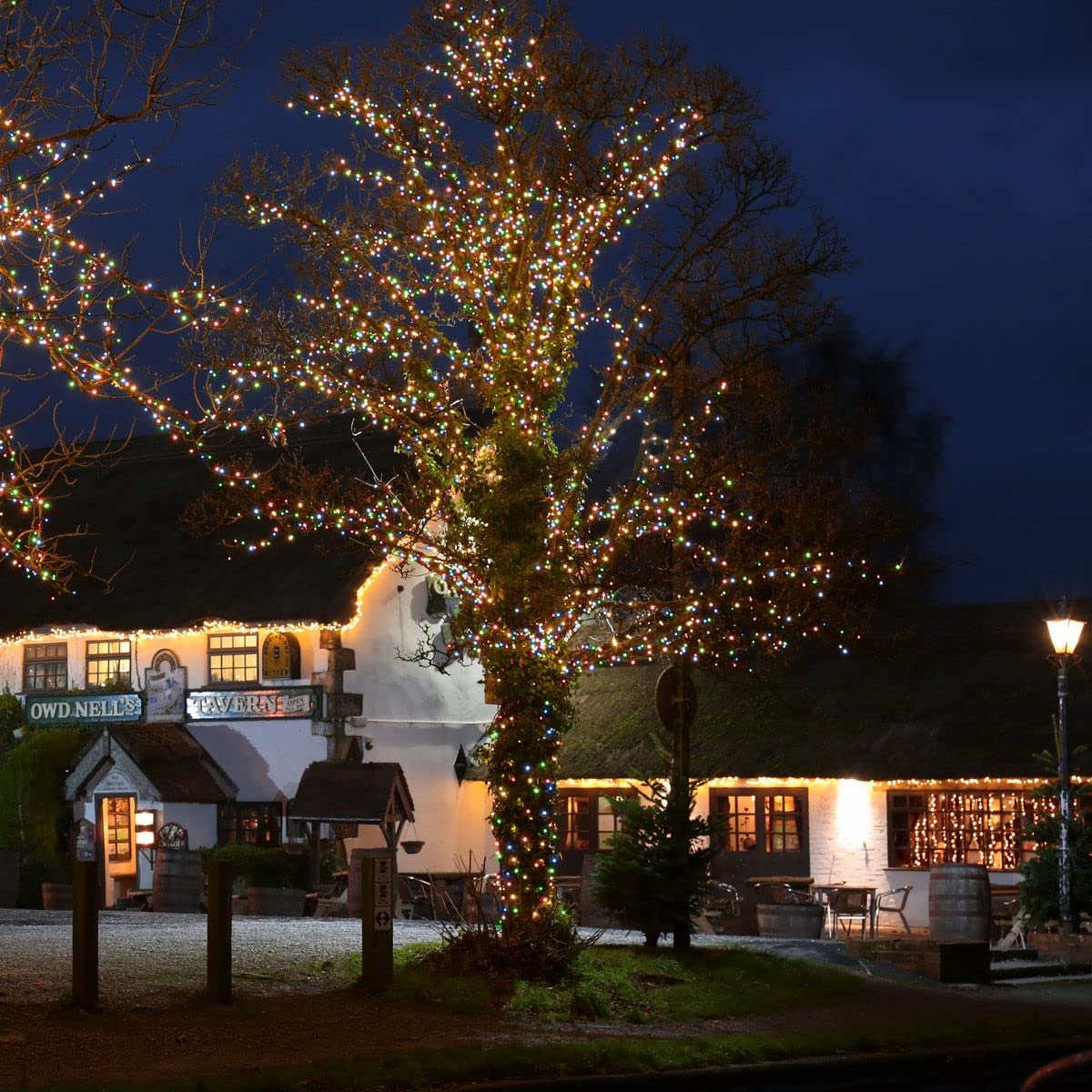 Festive Lights Multicolour W/ Plug - Connectpro Outdoor Led String Fairy Lights - Connectable - Ip65 Rubber Black Cable | Wedding, Christmas, Garden, Commercial, Party (/Plug, 20M)
