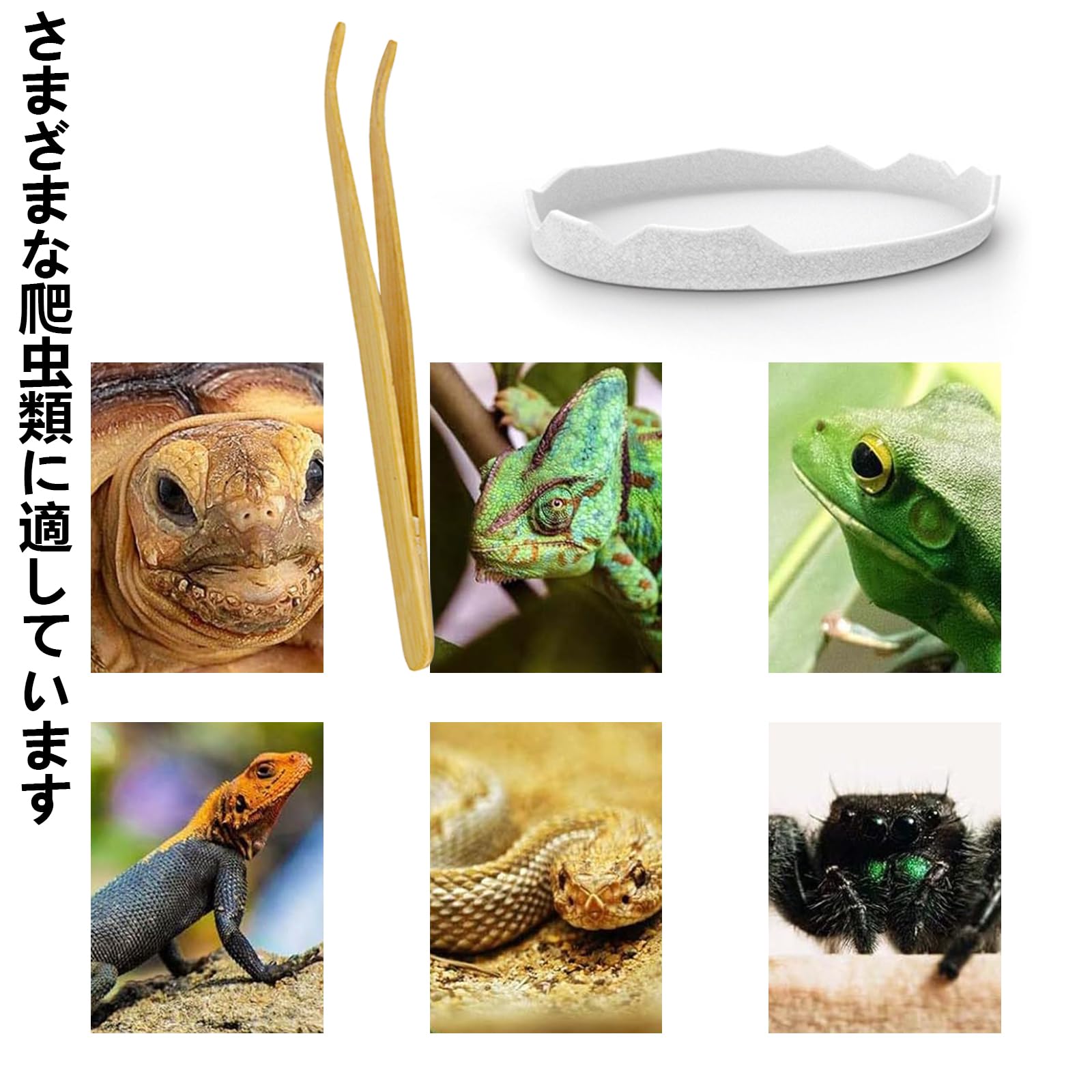 爬虫類・両生類のエサ M 90 SM10 Amazon | Minarena ピンセット 爬虫類 28.5cm 竹 ピンセット