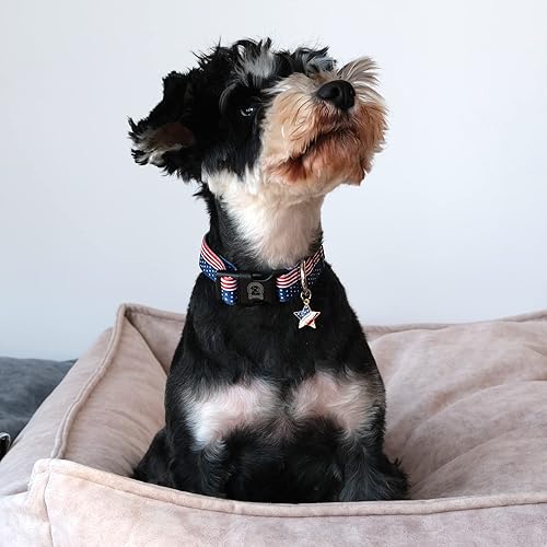 Miniatura 5 de MR. CHUBBYFACE - Collar ajustable para perro con la bandera estadounidense del 4 de julio, collar para el día de la independencia, rojo, blanco y