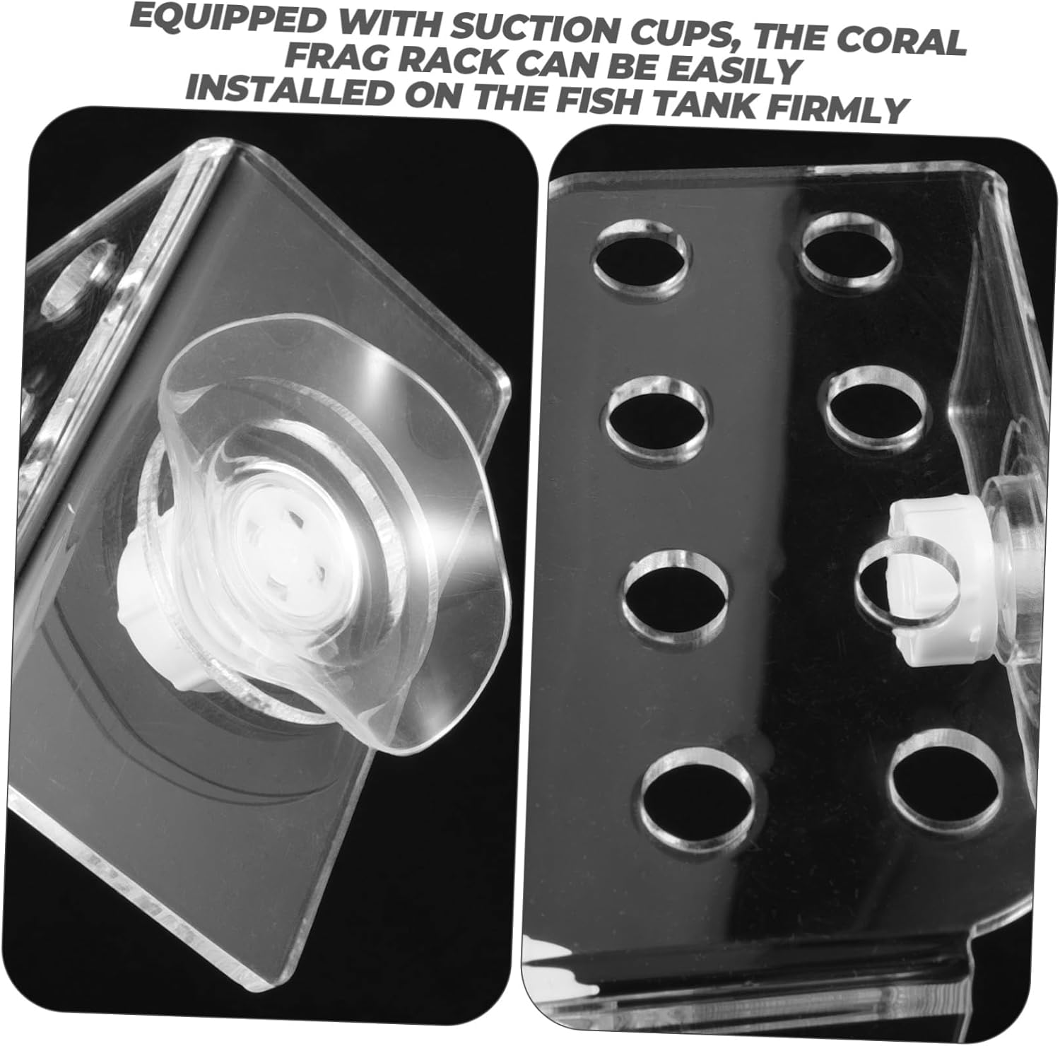 Housoutil 5pcs Coral Rack Acrylic Stand for Fish Tank Clear Coral Holder Cups Aquarium Accessory and Stability for Aquatic Decor