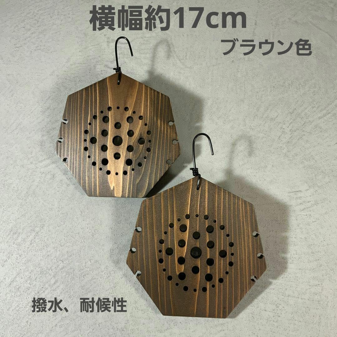 着生板 ビカクシダ 板付 七角形 ブラウン H502