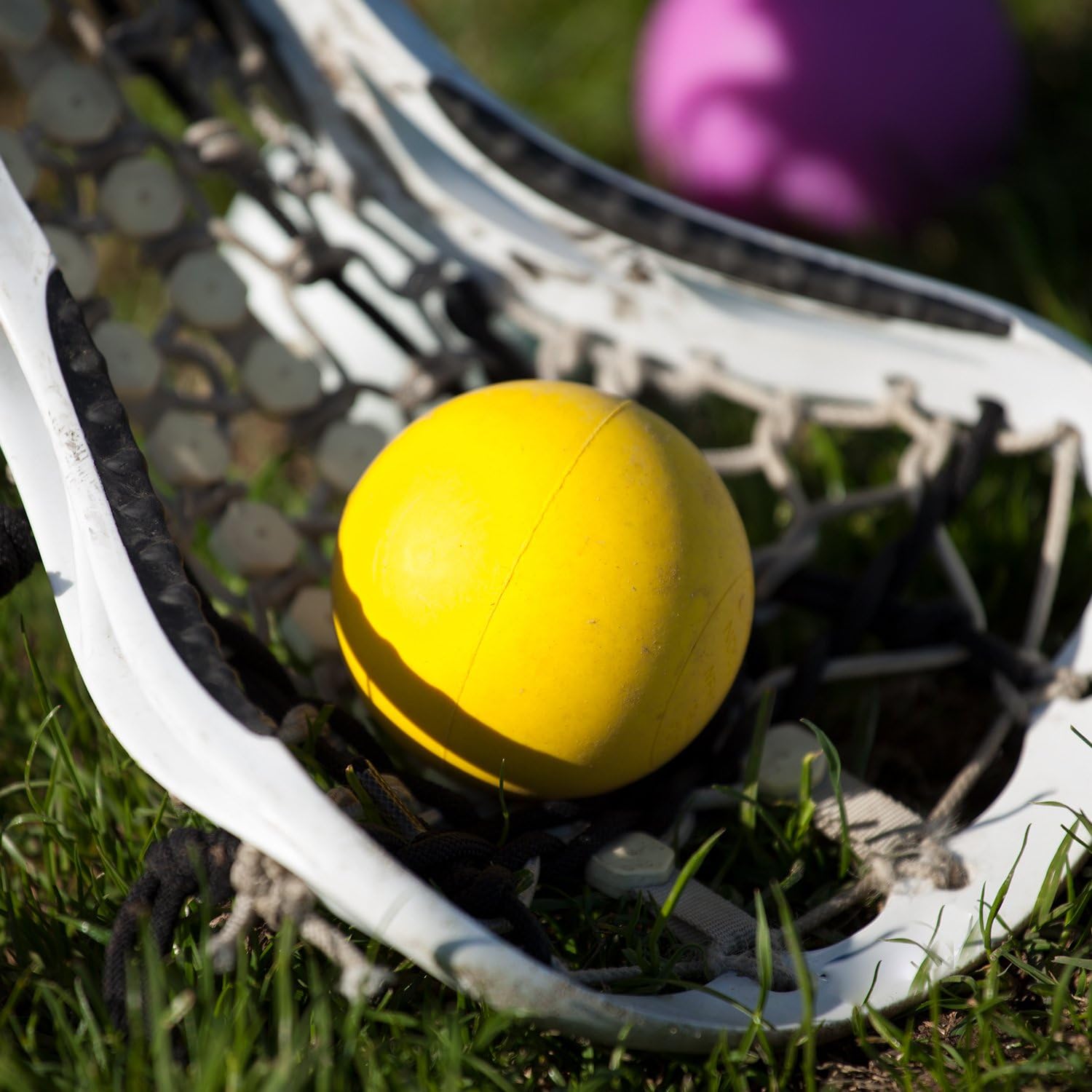 Champion Sports Lacrosse Balls – Official Size SEI Certified, Multi-Color Packs of 3, 6, or 12 for Practice & Games