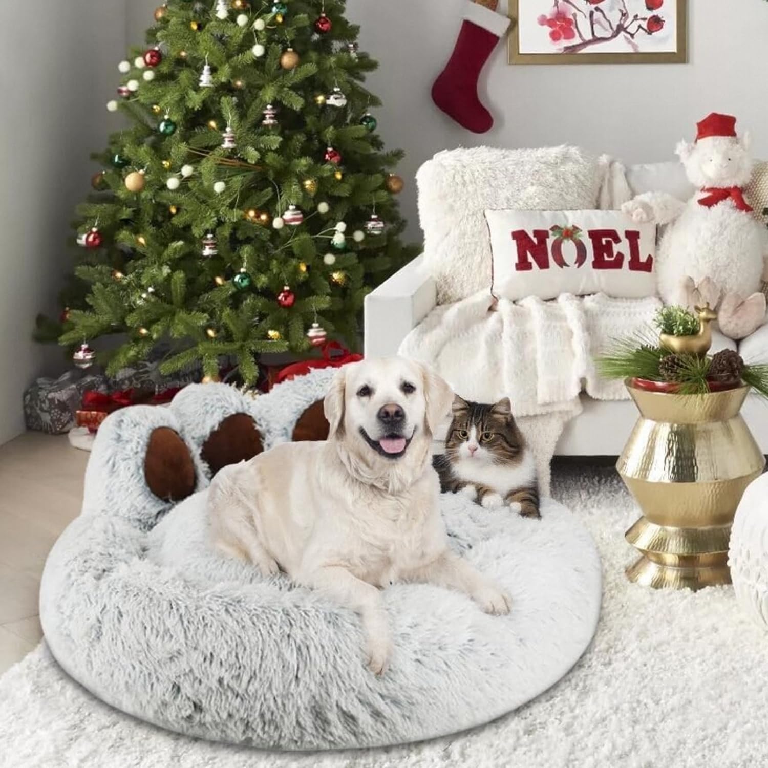 Lettino per Animali Domestici Letto Ortopedico per Gatti e Cani Cuccia Cane Interno Morbida e calda Adorabile cuccia per cani a forma di zampa d'orso di piccola e media (Grigio chiaro, 65cm)