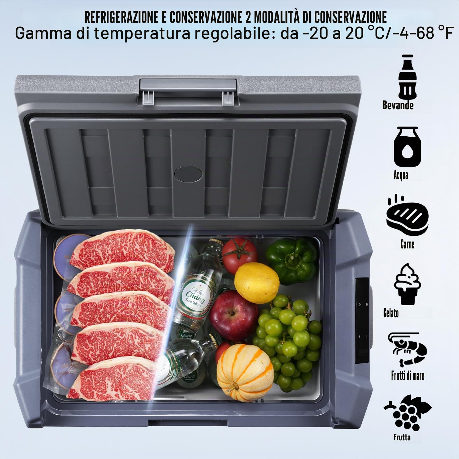 VEVOR Frigorifero per Auto 45L 12V Compressore Congelatore Portatile Zona Singola