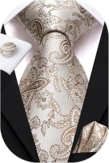Mens Champagne Ties Set with Pocket Square and Silk Paisley Beige Necktie Cufflinks Wedding Prom