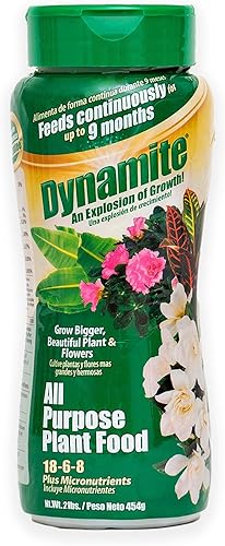 Dynamite - Alimento vegetal multiusos de 9 meses de 2 libras