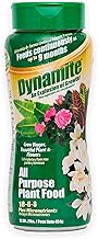 Dynamite 2 lb All Purpose 9 Month Plant Food