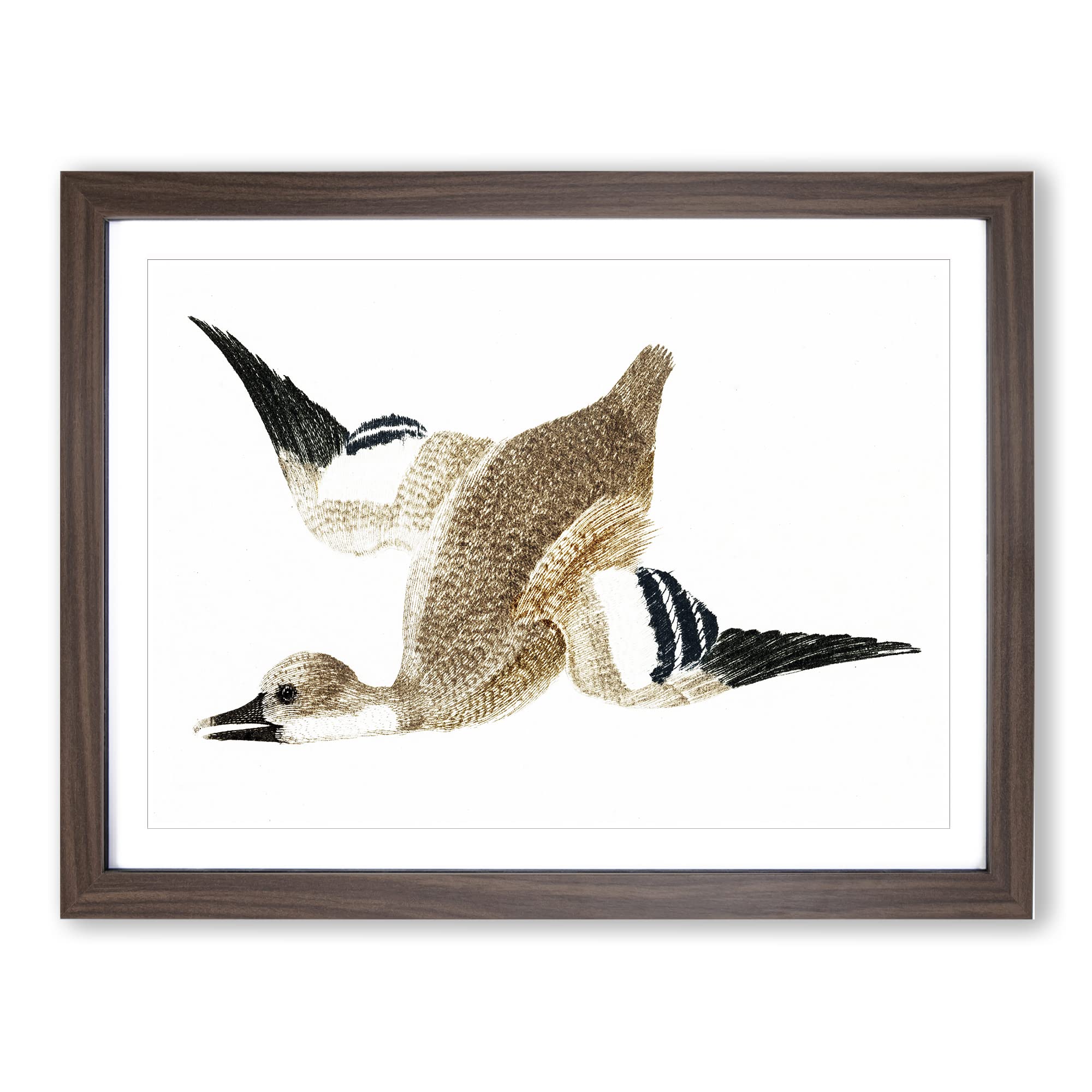 Flying Duck By Johan Teyler Vintage Framed Wall Art Print, Ready to Hang Picture for Living Room Bedroom Home Office Décor