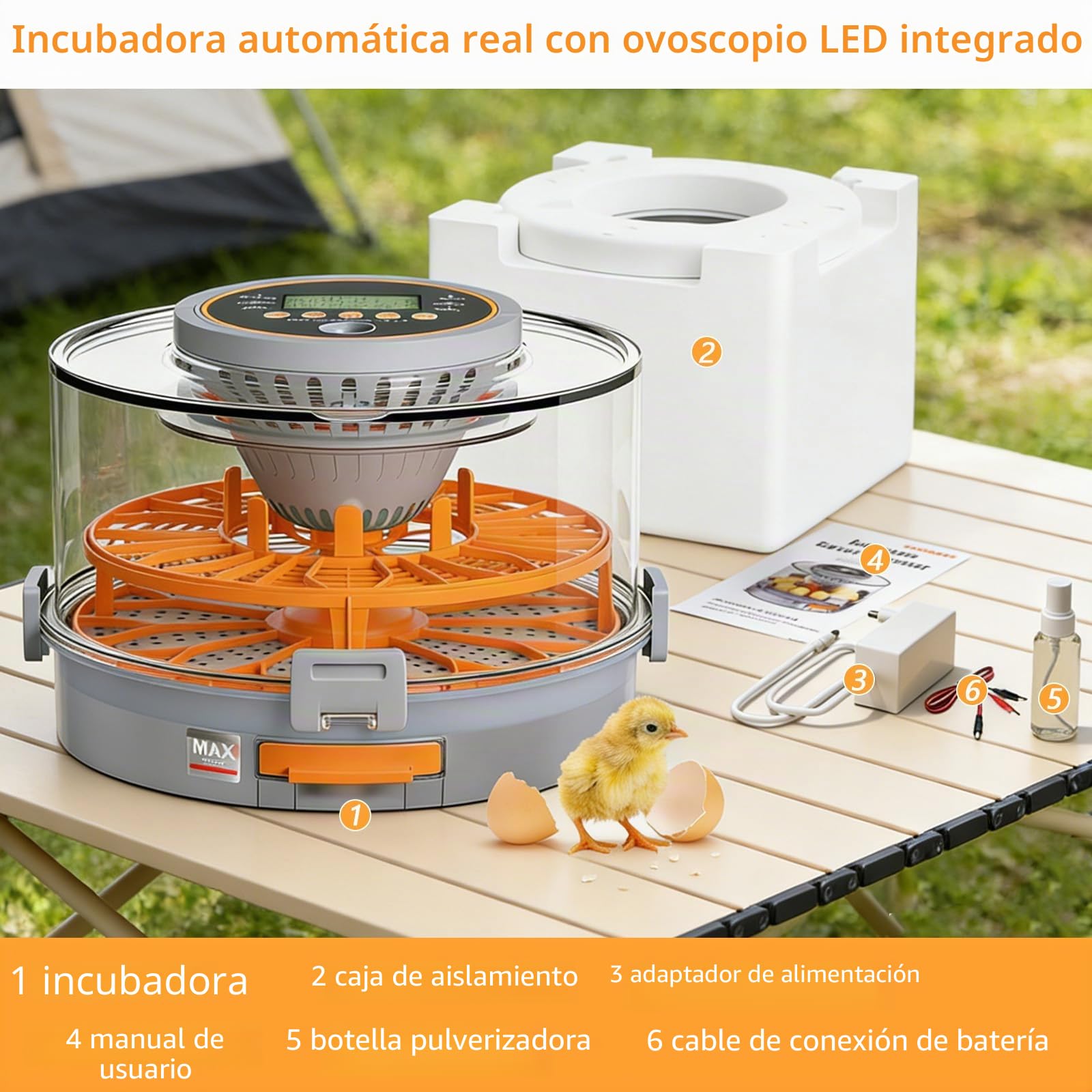 Incubadora Automática, Incubadora Totalmente Automática para 12/20 Huevos con Volteo Automático, Control Preciso de Temperatura y Humedad & Luz de Ovoscopio, Para Gallina Pato Ganso Paloma Codorniz
