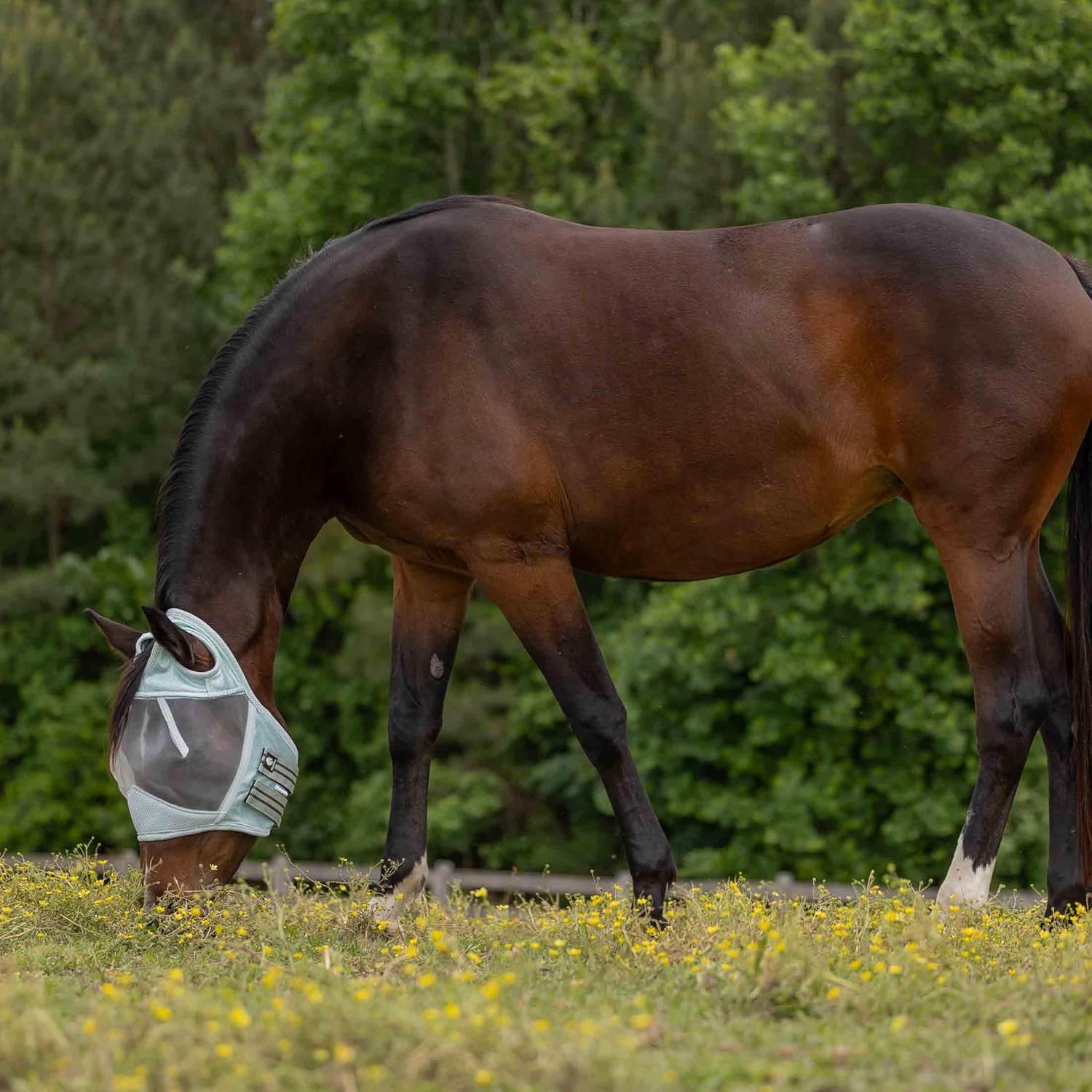 Equinavia Algard Soft Mesh Earless Fly Mask - Misty Jade - Horse