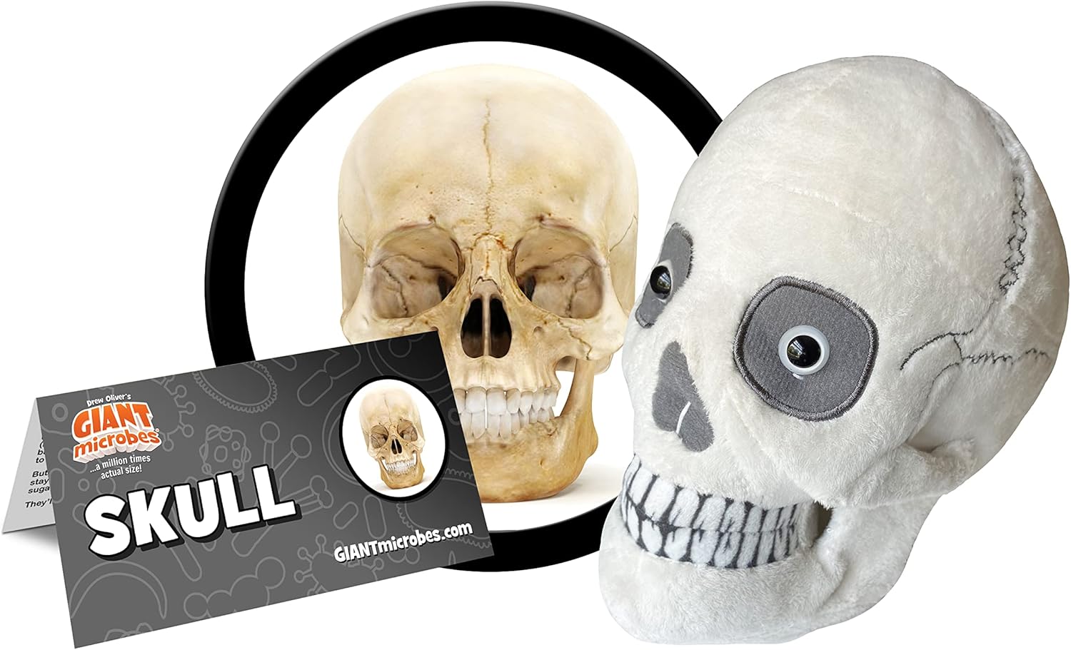 GIANT MICROBES Skull Plush, Skull Stuffed Animal, Anatomical Skull Gift, Halloween Skull Decor, Anatomy Skull, Human Skull Model Plushie, Skull Anatomy Model, Skull Pillow, Skull Toy, Sugar Skull