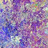  Shogun Wars [Explicit]