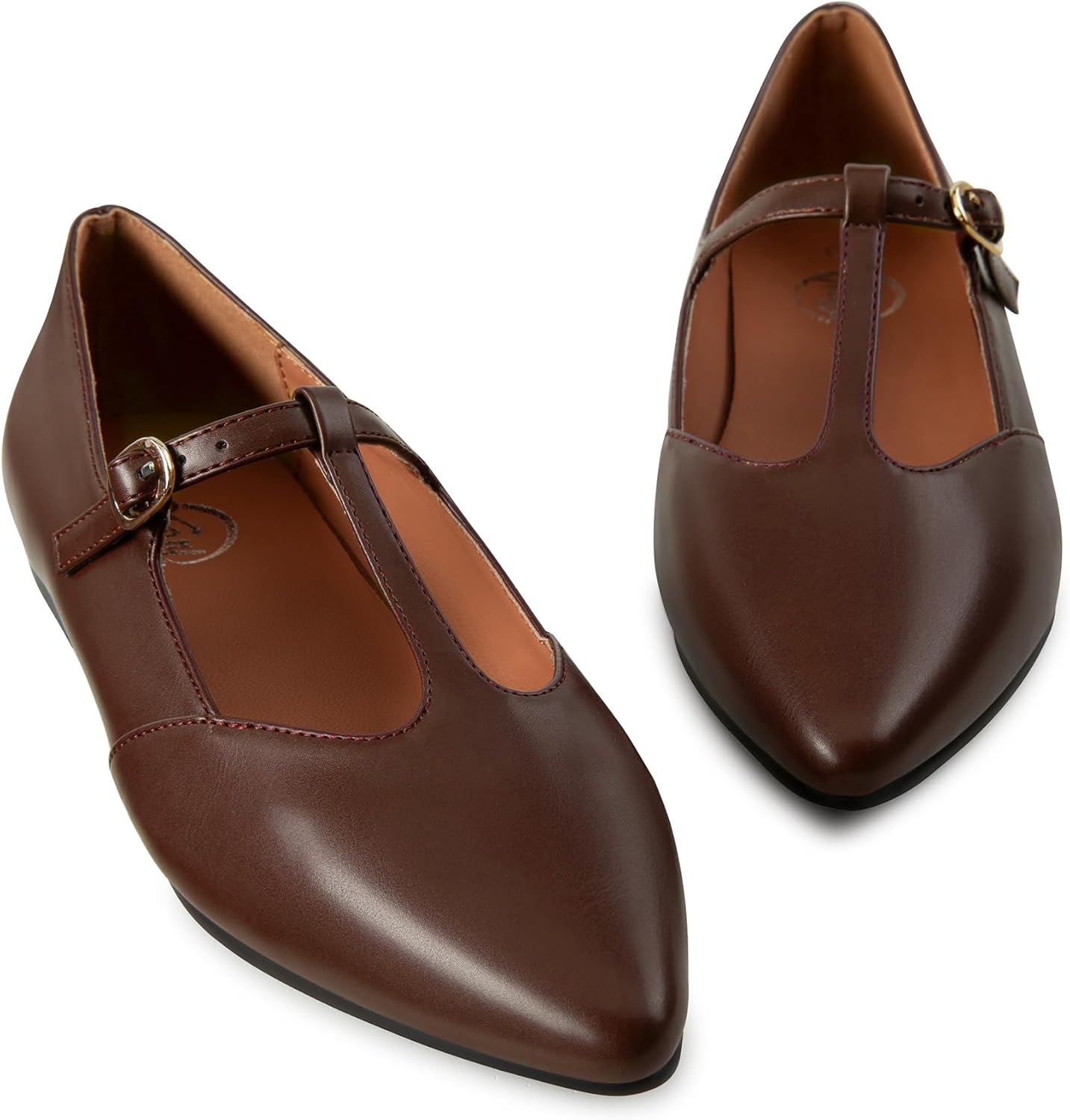 Trary Flats for Women T-Straps Mary Jane Shoes Women Pointed Toe Women's Ballet Flats Comfortable Adjustable Buckle Slip On 2025 Fall Shoes Loafer for Dressy Business Casual Work - Image 5