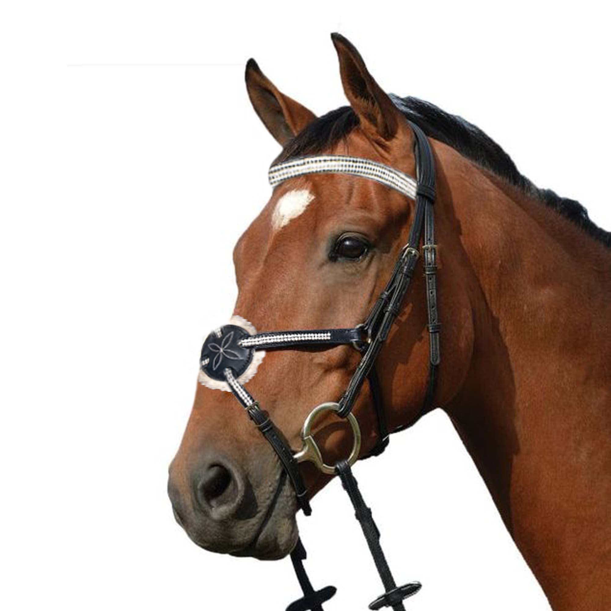 Wonder Care Briglia inglese in pelle di vacchetta di alta qualità, briglia snaffle con fascia per fronte, briglia incrociata con redini, briglie per cavalli