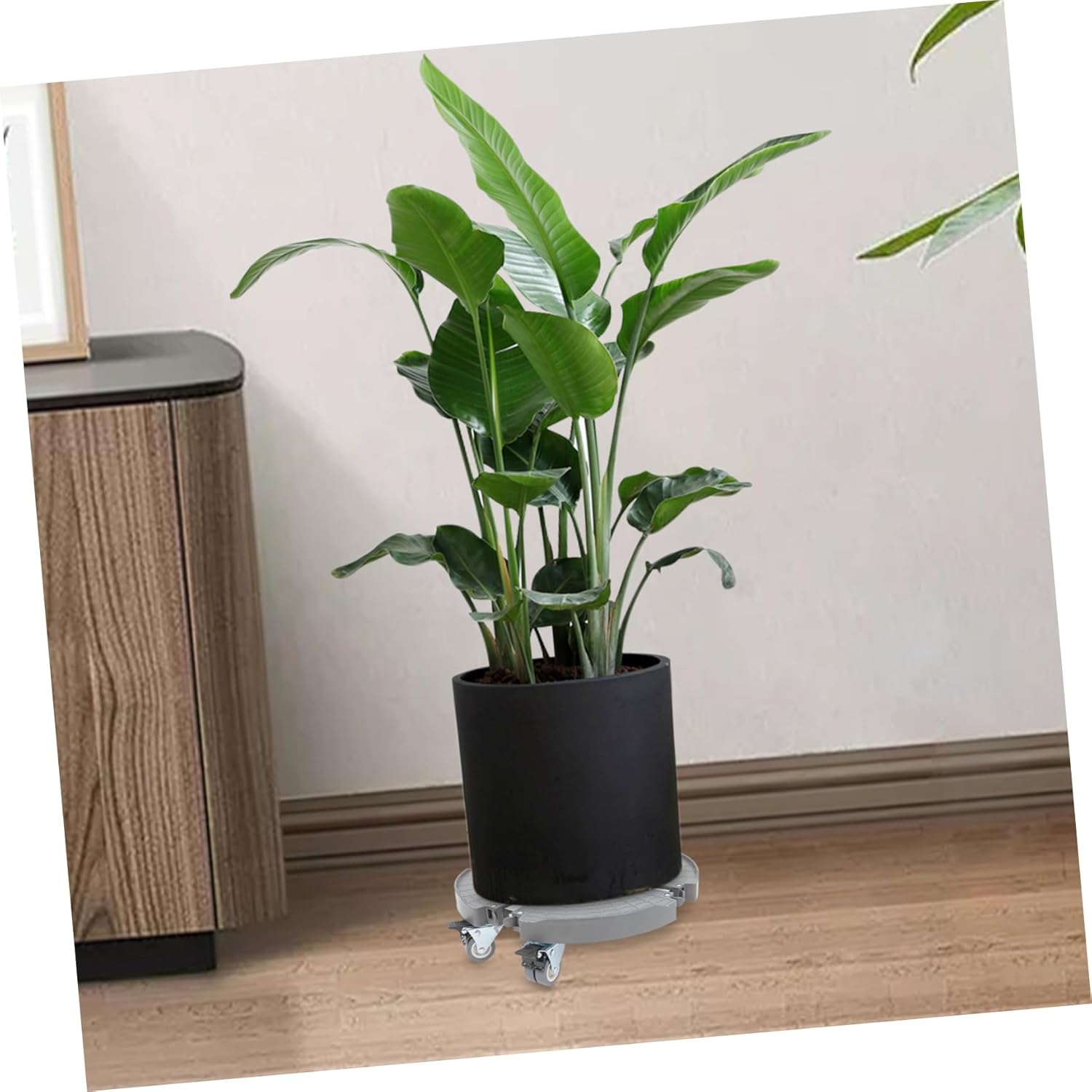 Toyvian Rolling Plant Saucer with Wheels Heavy Duty Dolly for Use Durable Planter Tray with Enhanced Stability for Moving Flower Pots Household