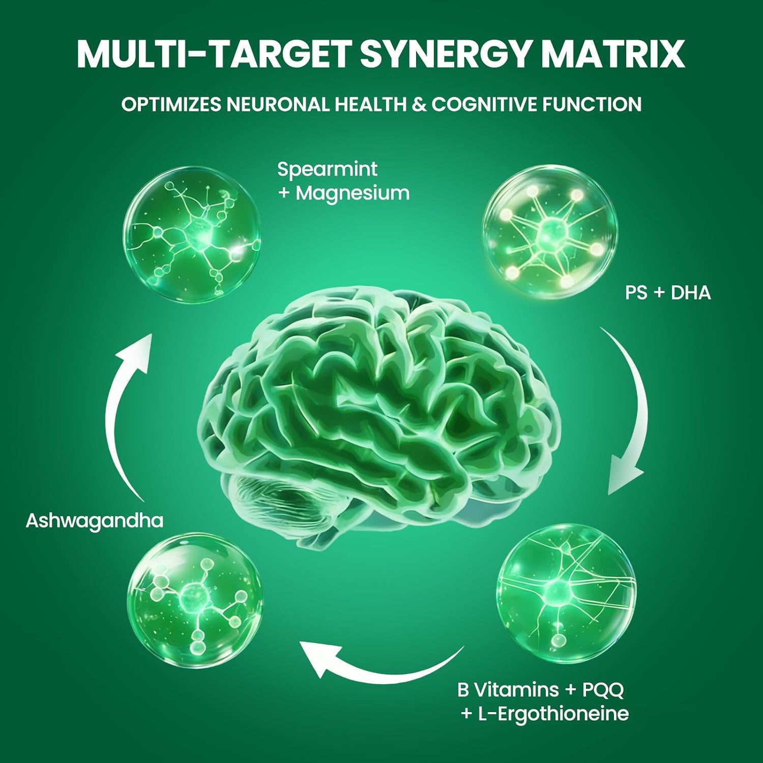 PhosphatidylSerine Memory & Focus Supplement with DHA, Spearmint, Magnesium & Ashwagandha – Brain Clarity, Stress Relief & Cognitive Support – Gluten-Free Vegan, 60 Capsules - Image 2