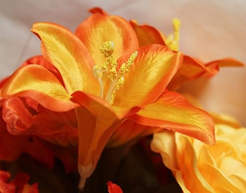 Miniatura 5 de Admired By Nature GPB6328-TANGERINE - Arreglo de decoración de 2 piezas, 24 tallos para oficina en casa, boda, restaurante, amapola, rosa,