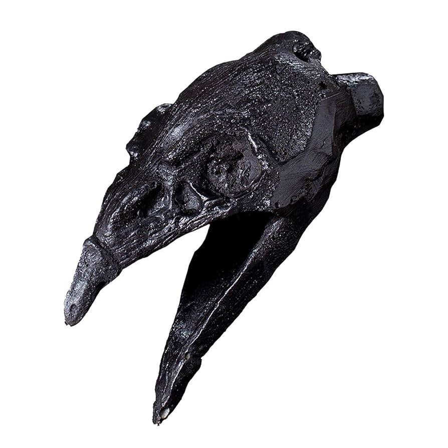 No.5206 Death Plastic 壁掛け ホラー デコ スカル ブルー No.5206 Death Plastic 壁掛け ホラー デコ スカル ブルー