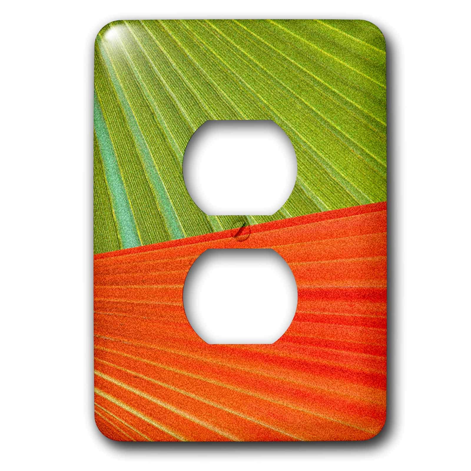 Bouchon de prise feuilles de palmier aux nuances intenses vert et orange
