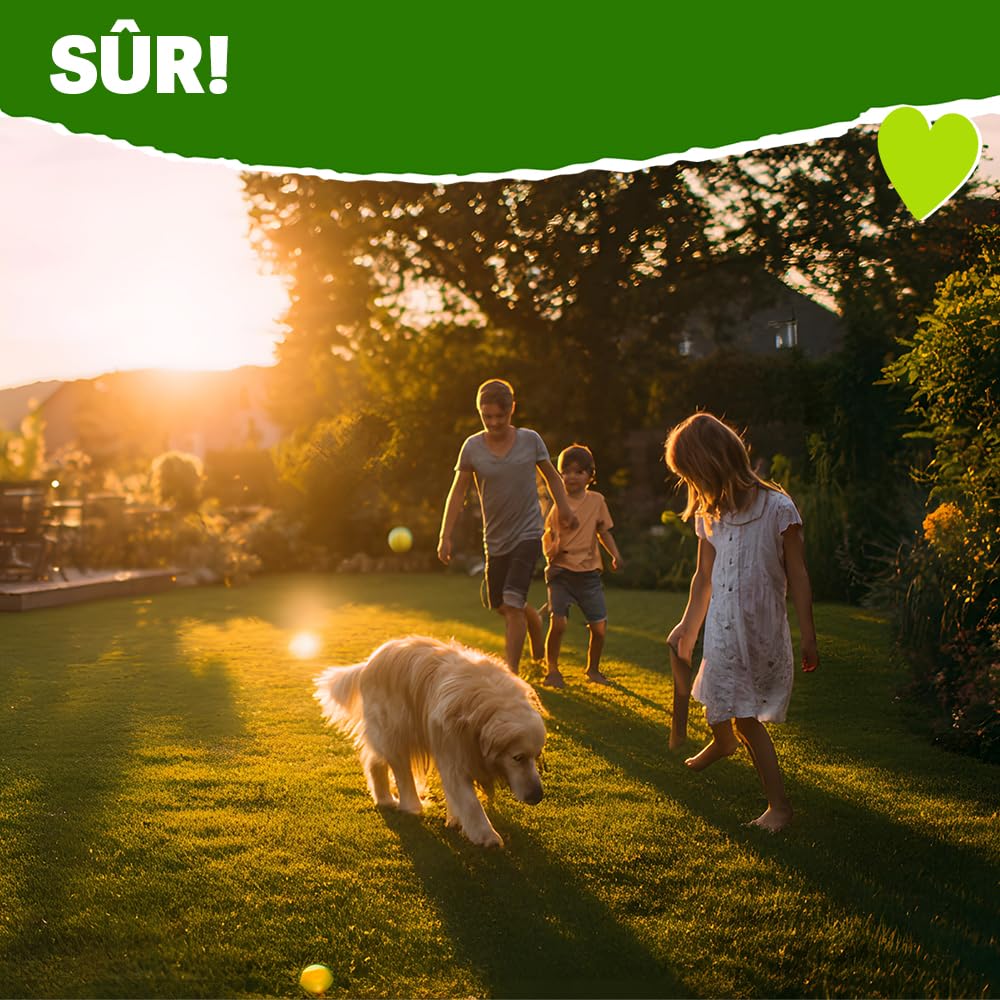 RasenHerz, Sable pour gazon 25 kg pour 100 m² Pour un gazon dense et vert Entretien du gazon, Amendement du sol, Nutriments, Diabas petigi
