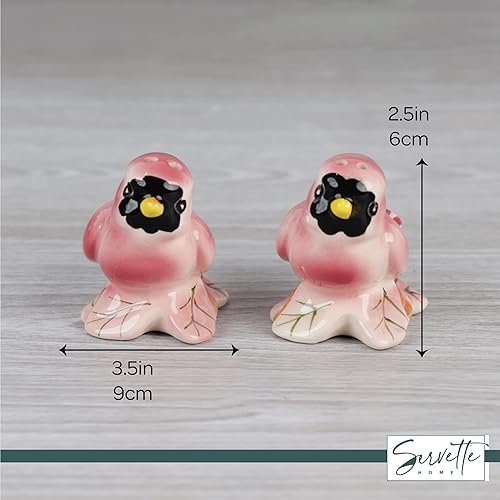 Vista 25 de Coctelera de cerámica para pájaros y salero, decoración de cocina, jaula para pájaros Ave jaula