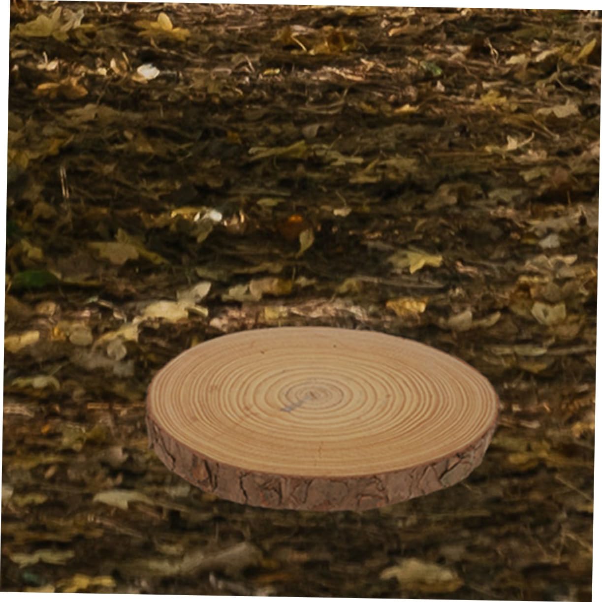 Wooden Chip Decoration Stepping Stones Garden Walkway Decorative Outdoor