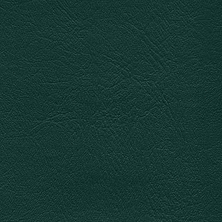 Sponsored Ad - Vinyl Upholstery Fabric Medium Green 54" Wide by The Yard Auto Home Commercial