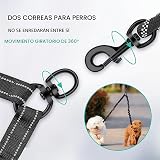 Ver la foto 4
