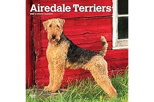 BrownTrout Airedale Terrier 2025 Wall Calendar