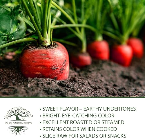 Miniatura 6 de Semillas de zanahoria roja atómica para plantar, más de 250 semillas de reliquia por paquete, semillas de jardín de Isla (semillas de jardín de