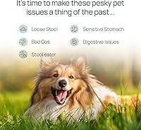 Vista 3 de pawTree Gastro Pro Plus® para perros y gatos - Probióticos, prebióticos y enzimas digestivas - para estómago sensible, problemas digestivos, heces