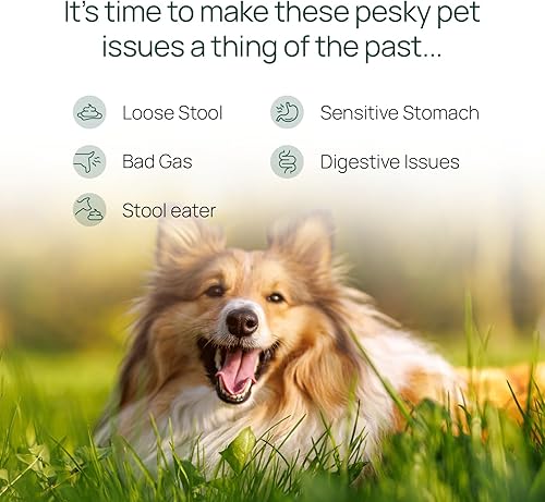 Miniatura 3 de pawTree Gastro Pro Plus para perros y gatos - Probióticos, prebióticos y enzimas digestivas - para estómago sensible, problemas digestivos, heces