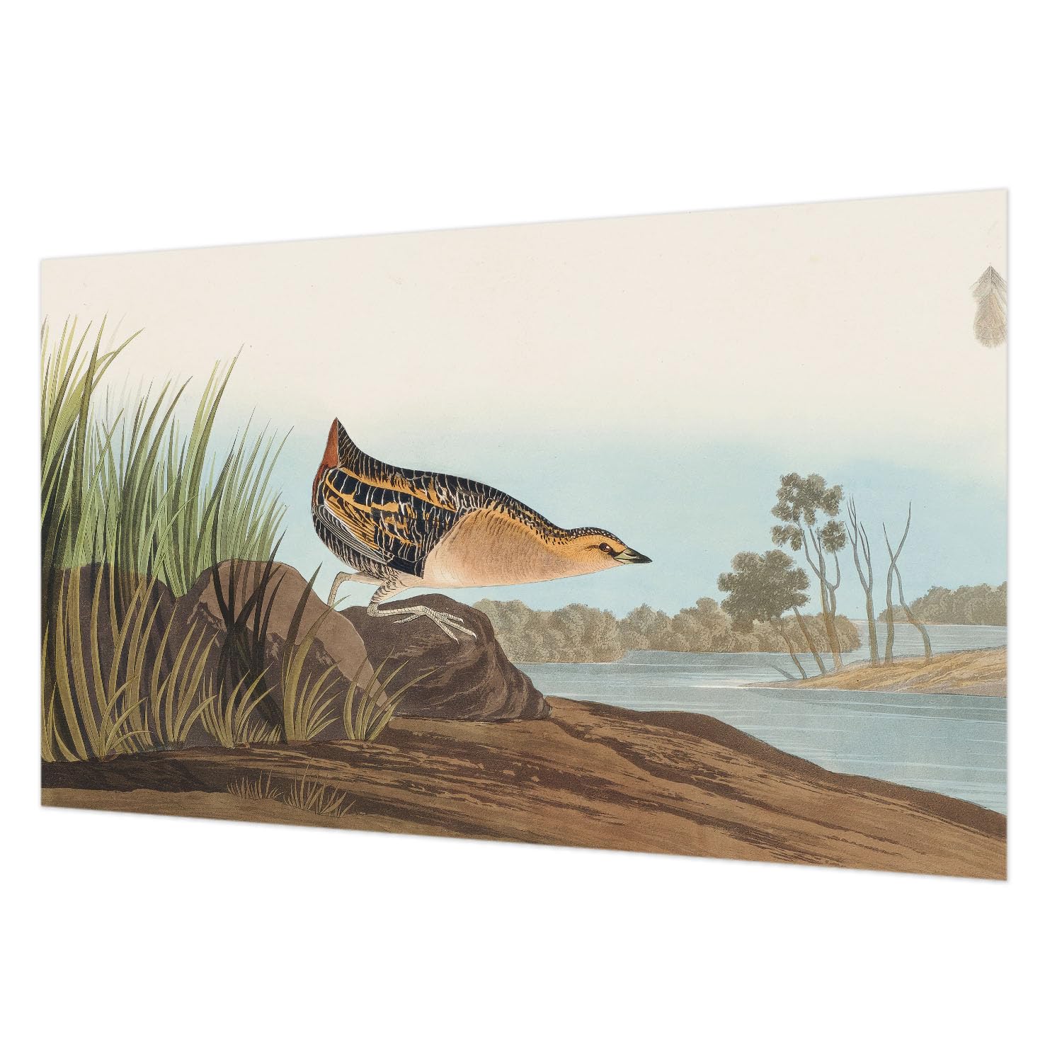Papier peint intissé facile à nettoyer 416x254 cm motif forêt nature