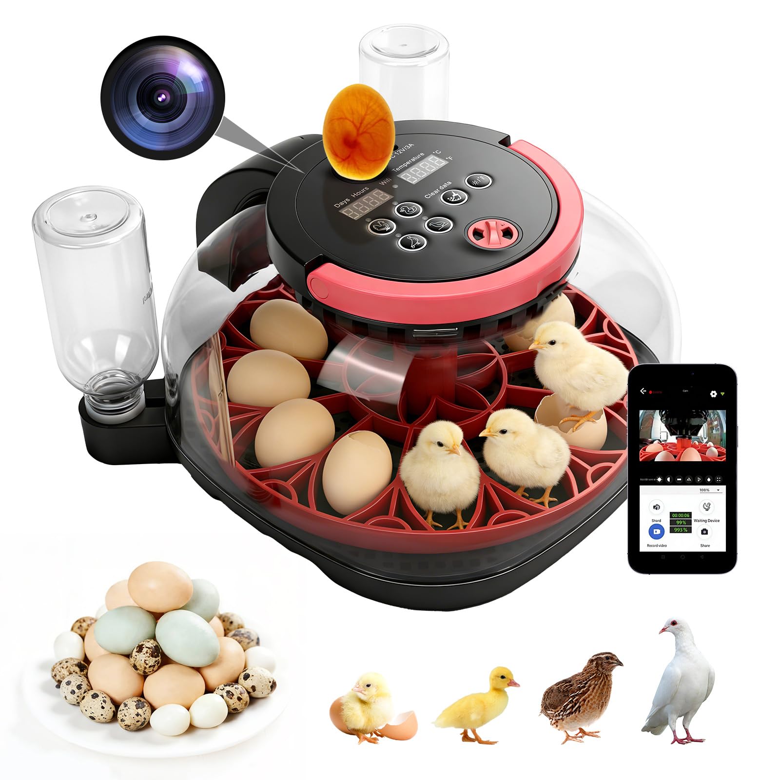 Incubatrice per Uova Automatica, incubatrice 12 uova incubatrice con telecomando rotazione automatica delle uova e controllo dell'umidità e temperatura, lampada per uova di gallina, visualizzazione
