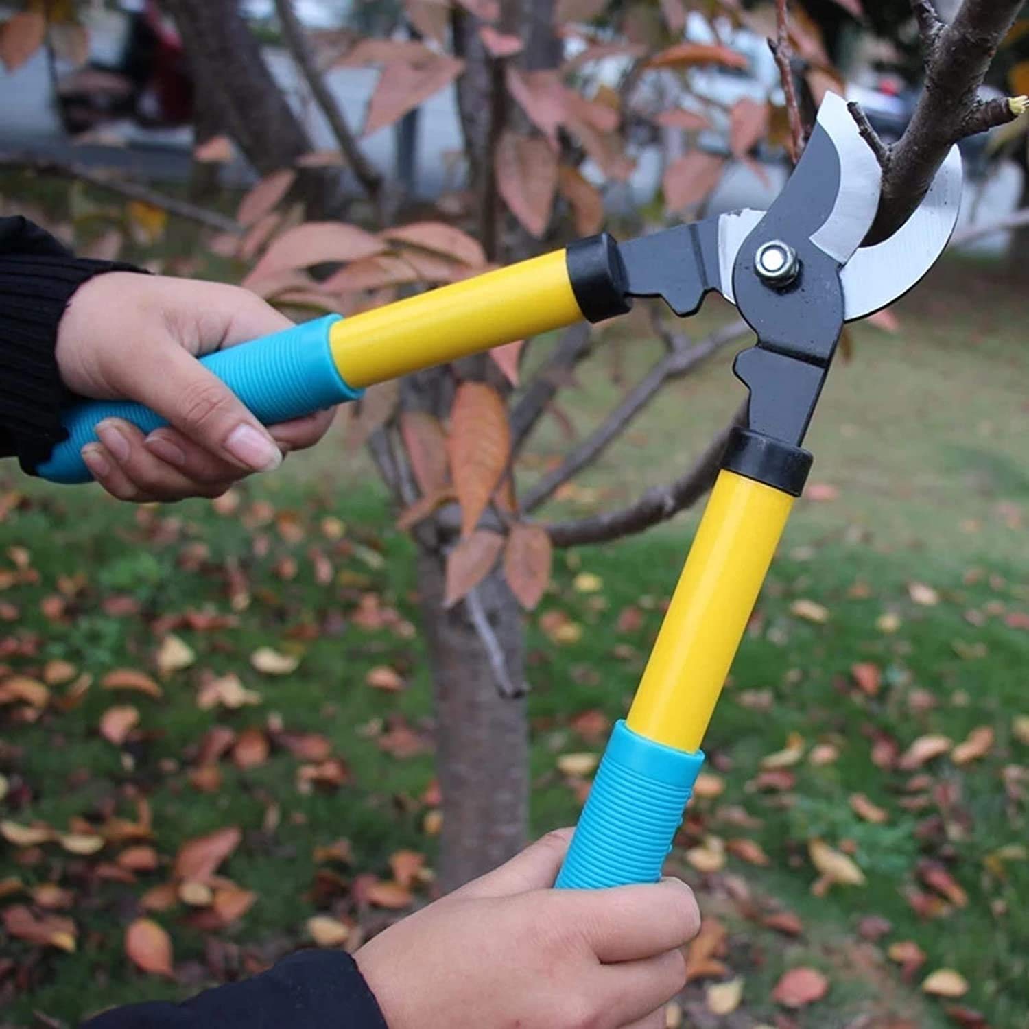Gartenschere für die Gartenarbeit Edelstahl-Schneidwerkzeug geschmiedete Gartenschere