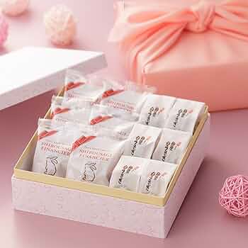 チョコ様　ライト、バード、白うさぎ７点 71fNC99vOjL._UF350,350_QL50_.jpg