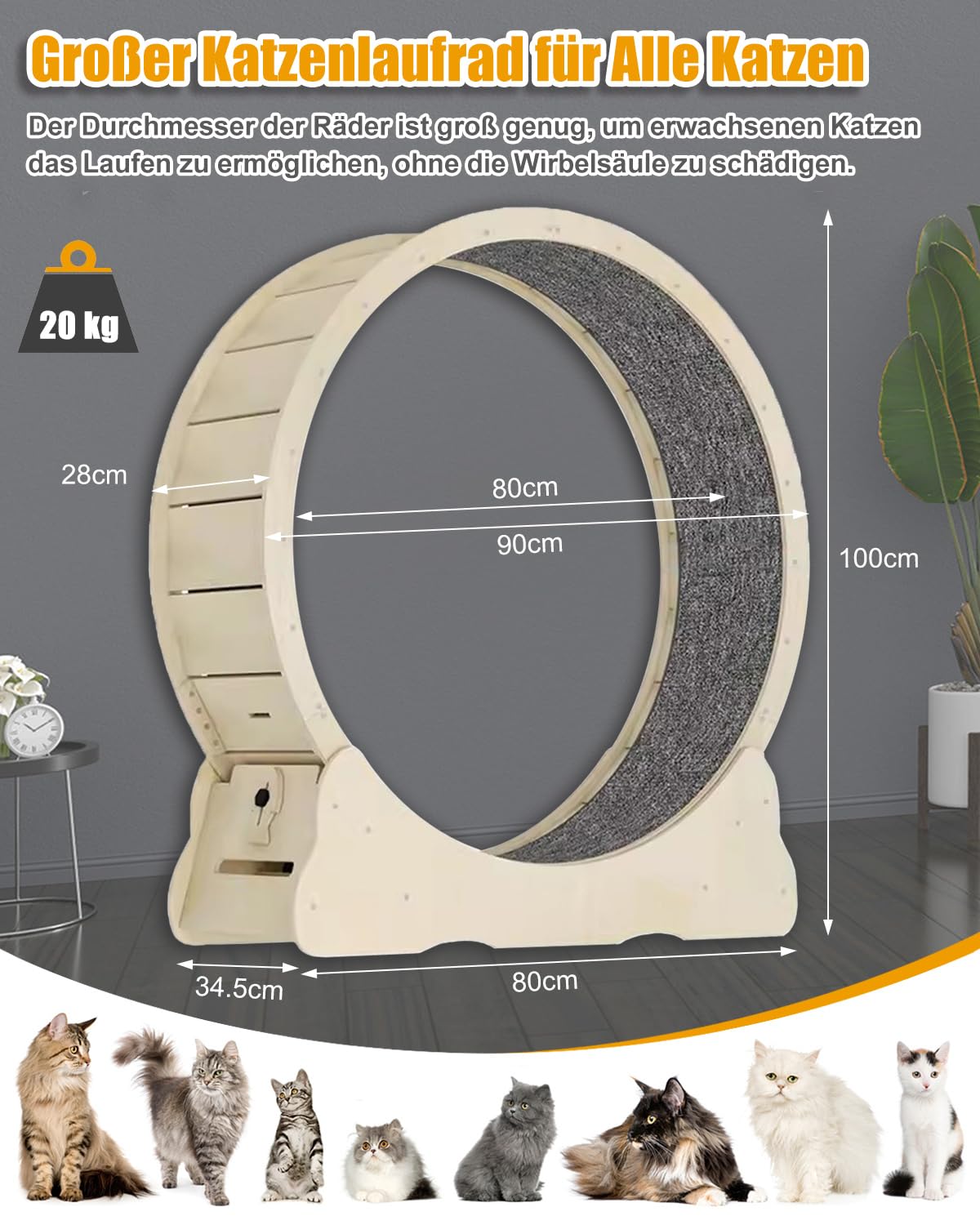 Katzenlaufrad Großes Laufrad für Katzen 90cm – Natürliche Katzenrad aus Massivholz für Drinnen Katzen, Sicherheits Katze Laufrad mit Schloss und Minimiertem Spaltdesign